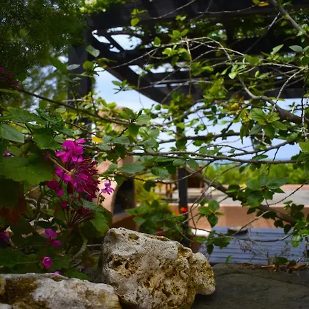 Punentes House Holiday home *