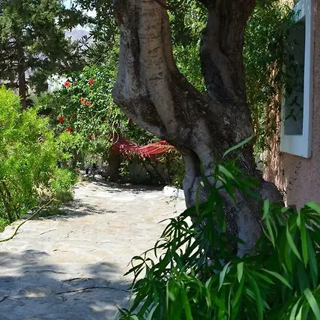 Punentes House Holiday home